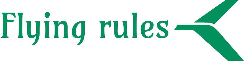 Flying rules Logo