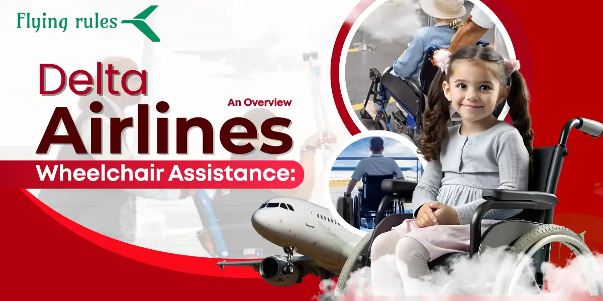 add wheelchair assistance in delta