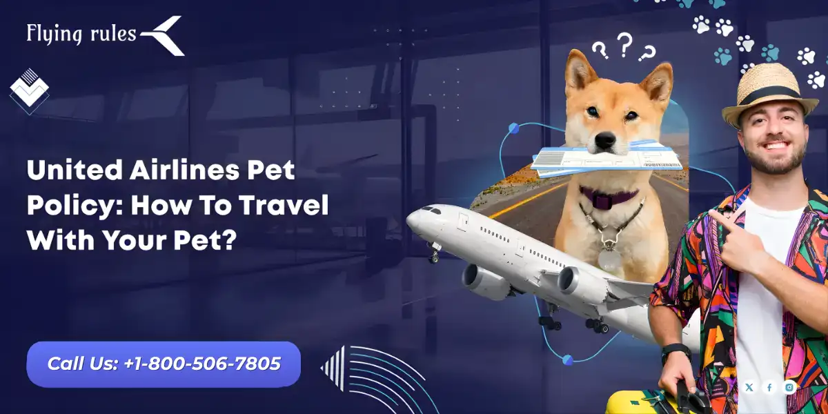 United Airlines Pet Policy