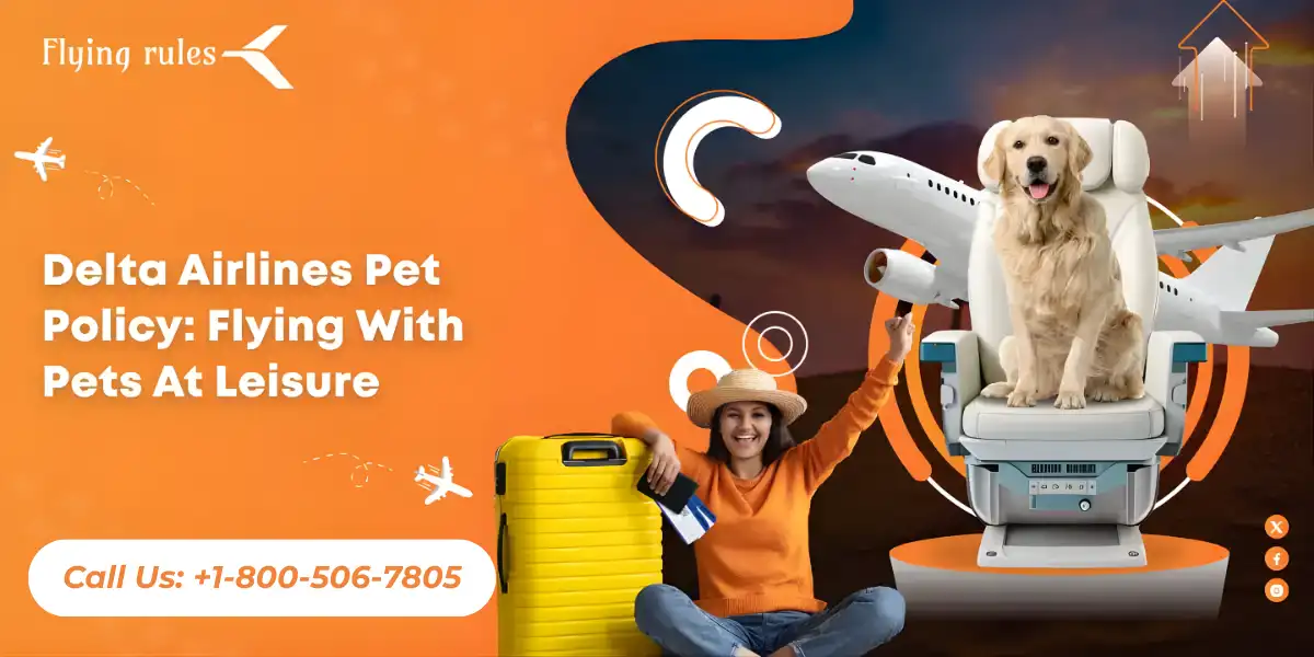 Delta Airlines Pet Policy